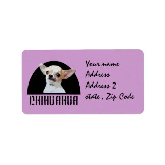 Etiqueta Perro chihuahua