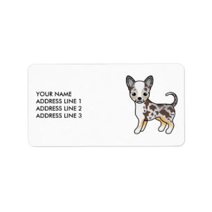 Etiqueta Perro Chihuahua de Pelaje Liso Merle de Chocolate