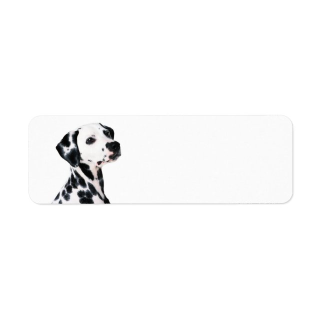 Etiqueta Perro Dalmatiano Cute (Frente)