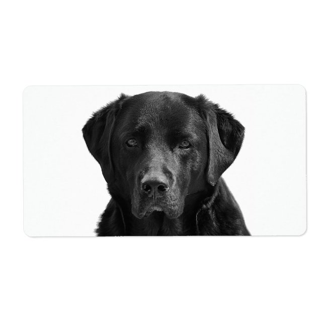 Etiqueta Perro de cachorro negro recuperador de labrador (Frente)