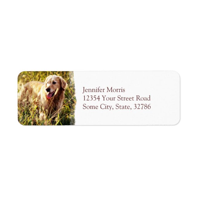Etiqueta Perro de Golden Retriever (Frente)
