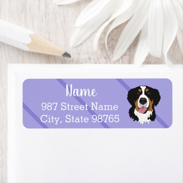 Etiqueta Perro de montaña de Bernese (In situ)