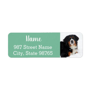 Etiqueta Perro de montaña personalizable Bernese