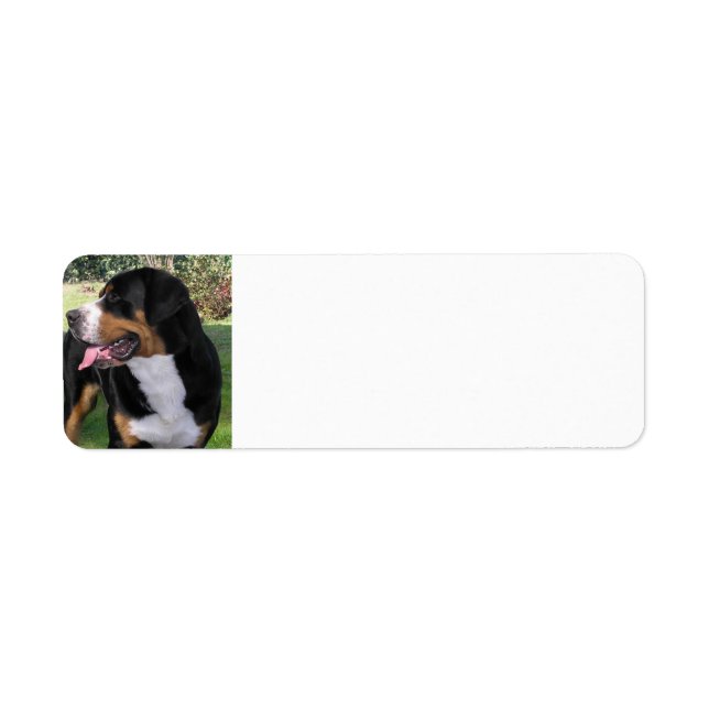 Etiqueta perro de montaña suizo más grande (Frente)