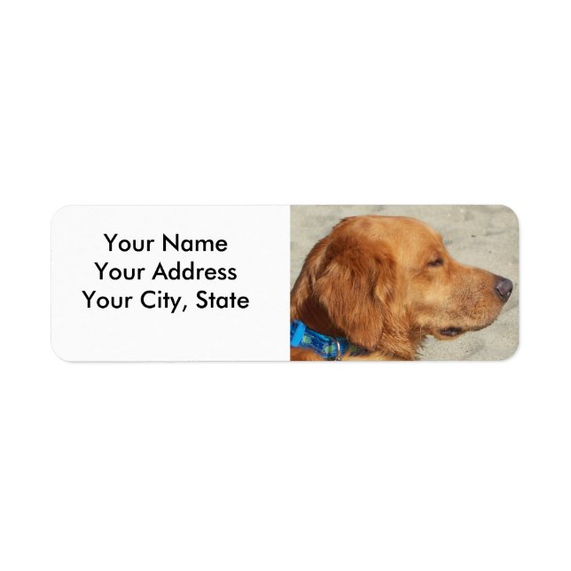 Etiqueta Perro de playa Golden Retriever (Frente)