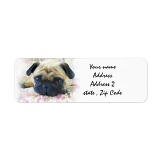 Etiqueta Perro de pug