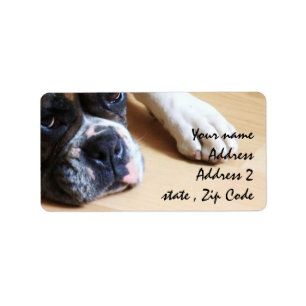 Etiqueta Perro del boxeador