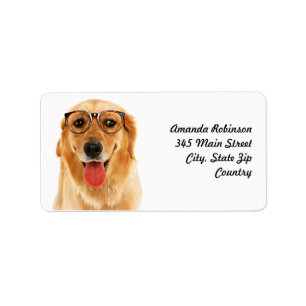 Etiqueta Perro divertido de Golden Retriever
