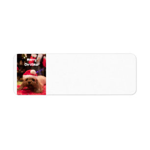 Etiqueta Perro navideño