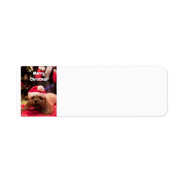 Etiqueta Perro navideño (Frente)