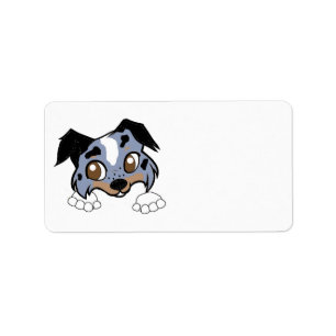 Etiqueta Perro pastor de Shetland Blue Merle Tri Peeking Di