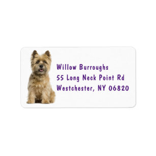 Etiqueta Perro picado perrito adorador de Cairn Terrier