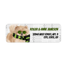 Perro Pomerania en un discurso de miedo