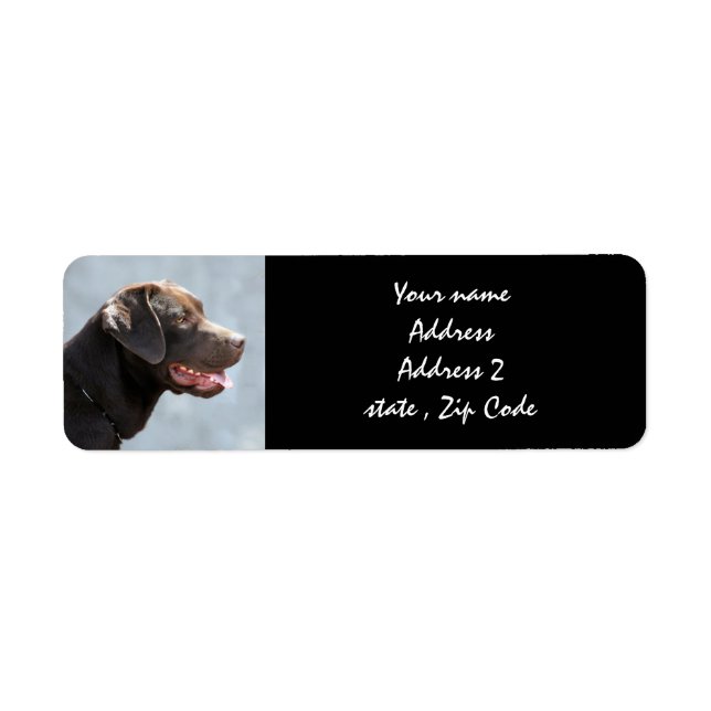 Etiqueta Perro recuperador de Labrador (Frente)