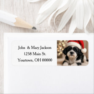 Etiqueta Perro Shih Tzu de Navidad con sombrero de Santa