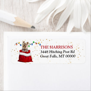 Etiqueta Perro Terrier de Yorkshire en dirección de devoluc