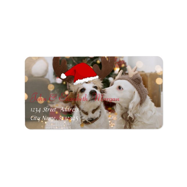 Etiqueta Perros adorables con sombrero de Santa (Frente)