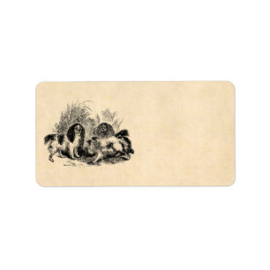 Etiqueta Perros de aguas de los 1800s del perro del perro