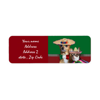 Etiqueta Perros mexicanos de Chihuahua