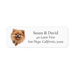 Etiqueta Perros Pomerania Rían Pet Avers