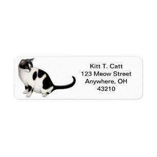 Etiqueta Personalizable amistoso del gato del smoking