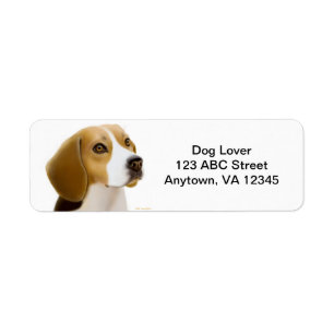 Etiqueta Personalizable Beagle Dog