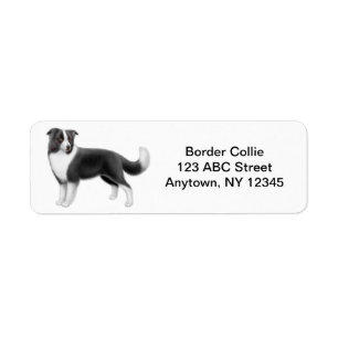 Etiqueta Personalizable del border collie