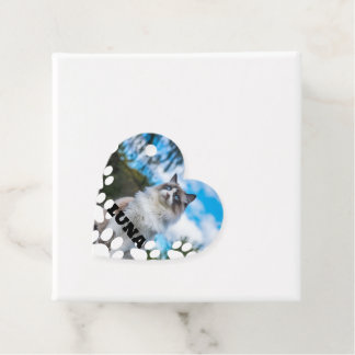 Etiqueta personalizada de favor de foto de gato co