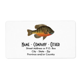 Etiqueta Pesca de brea