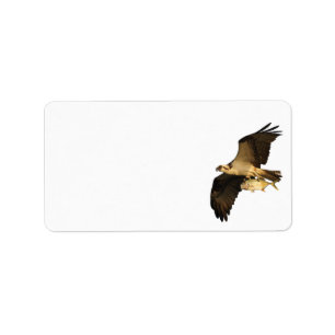 Etiqueta Pesca de Osprey