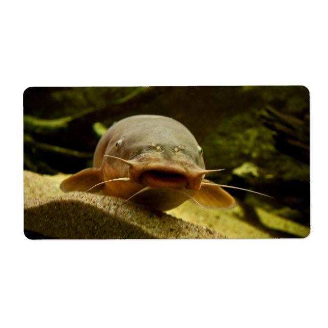 Etiqueta Pescado eléctrico (Frente)