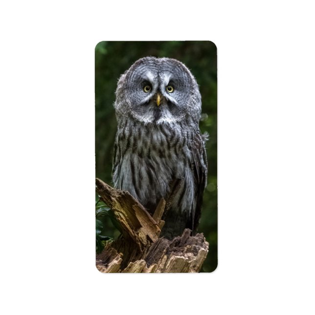 Etiqueta Photo Enlargement (Frente)