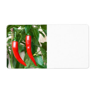 Etiqueta Pimienta picante roja