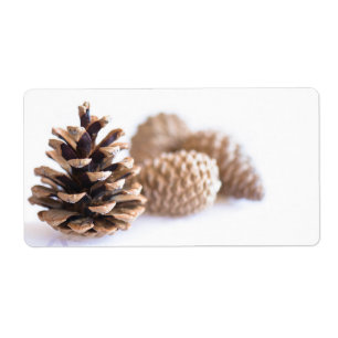 Etiqueta Pinecones