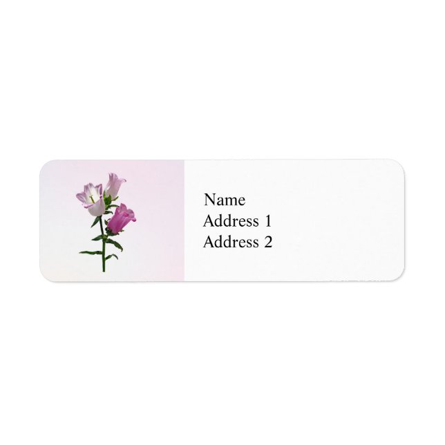 Etiqueta Pink Canterbury Bells (Frente)