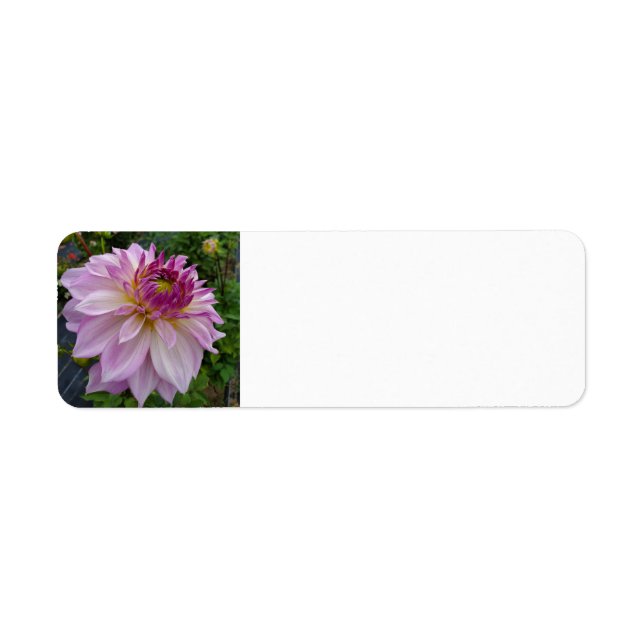 Etiqueta Pink Dahlia (Frente)
