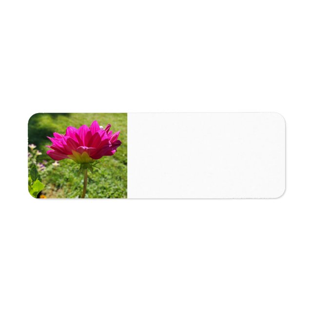 Etiqueta Pink Dahlia (Frente)