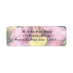 Etiqueta Pink Daylily desgarrado