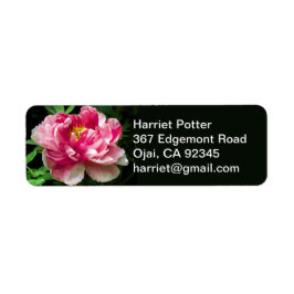Etiqueta Pino Blanco Peony Watercolor Fino Floral