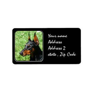 Etiqueta Pinscher del Doberman
