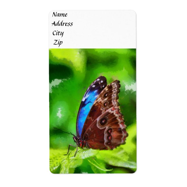 Etiqueta Pintura de mariposa (Frente)