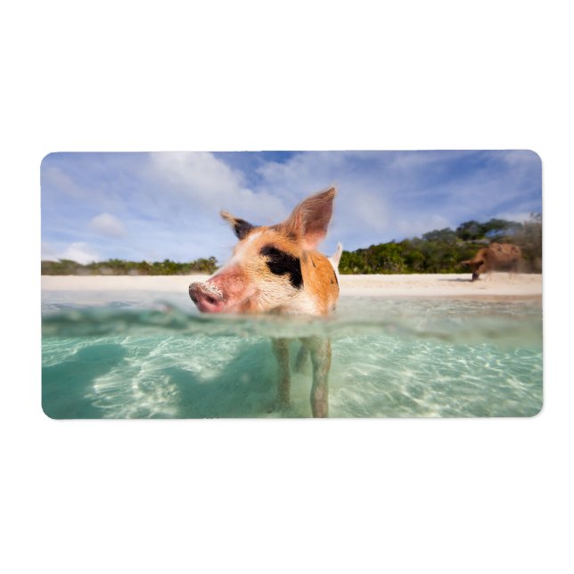Etiqueta Piscina de Exuma (Frente)