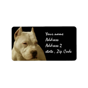 Etiqueta Pitbull blanco Terrier