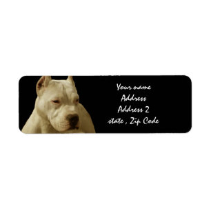 Etiqueta Pitbull blanco Terrier