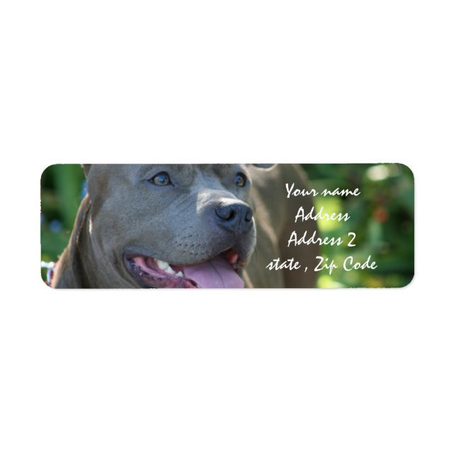Etiqueta Pitbull Dog (Frente)