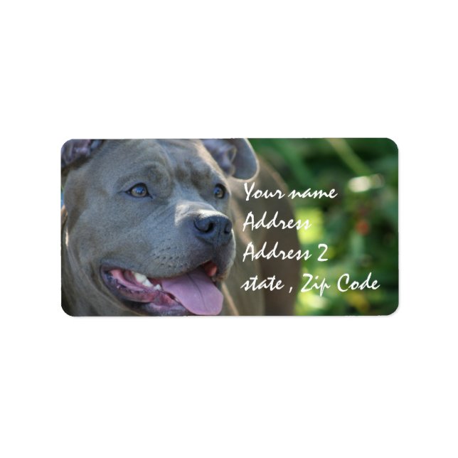 Etiqueta Pitbull Dog (Frente)