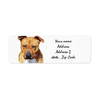 Etiqueta Pitbull Terrier