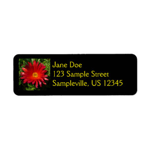 Etiqueta Planta de alfombras coloreadas de flores de hielo 