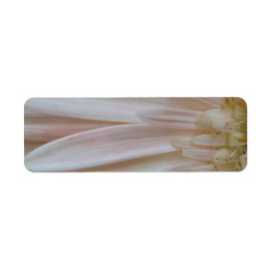 Etiqueta Planta para la flor de la curación