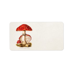 Etiqueta Plantilla de hongos rojos hongos vintage del siglo